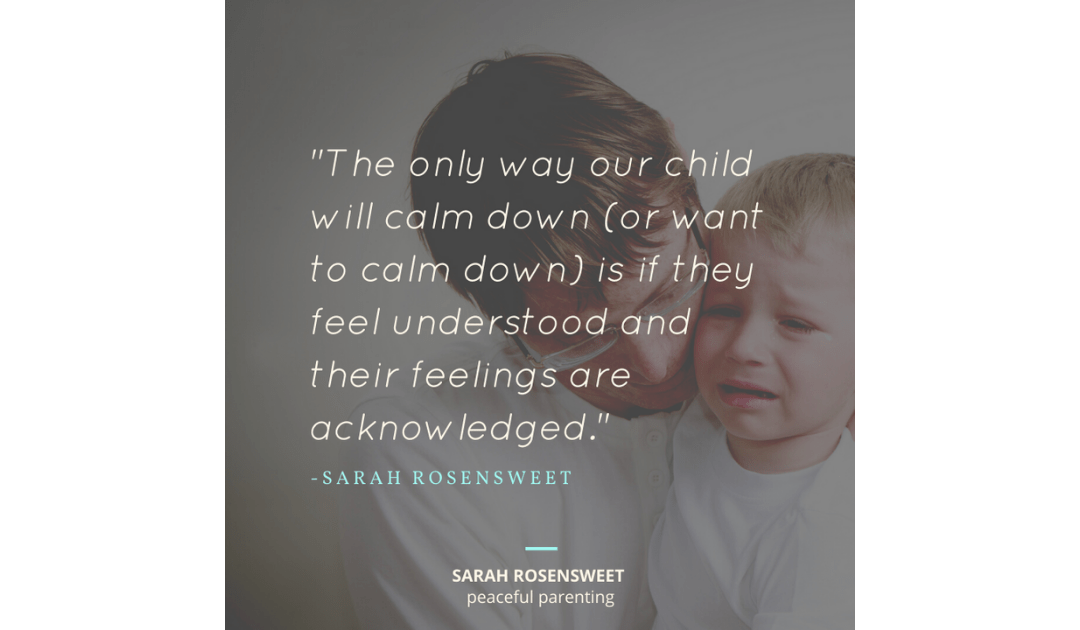 The only way our child will calm down (or want to calm down) is if they feel understood and their feelings are acknowledged. Sarah Rosensweet