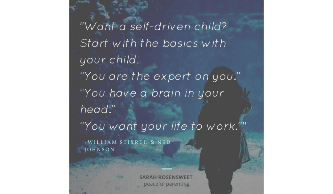 Want a self-driven child? Start with the basic with your child. You are the expert on you. You have a brain in your head. You want your life to work. Willian Stixrud and Ned Johnson