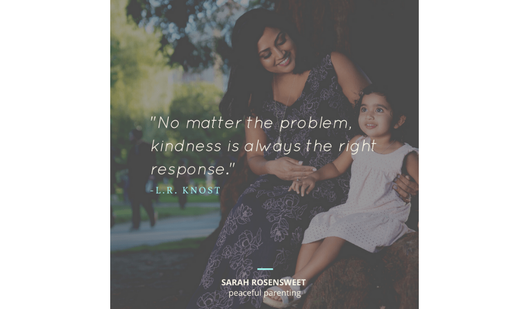No matter the problem kindness is always the right response L. R. Knost Quote