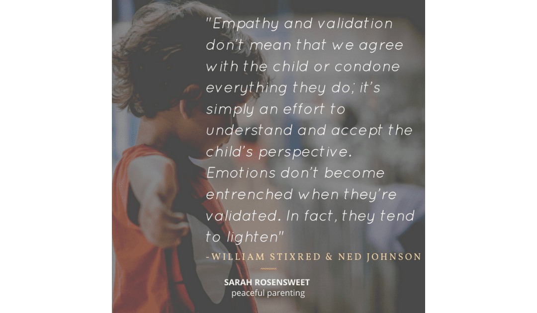Empathy and validation don't mean that we agree with the child or condone everything they do William Stixred and Ned Johnson Quote