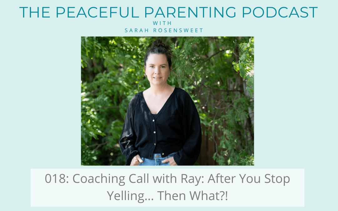 Podcast Episode 18: Coaching Call with Ray: After You Stop Yelling… Then What?!