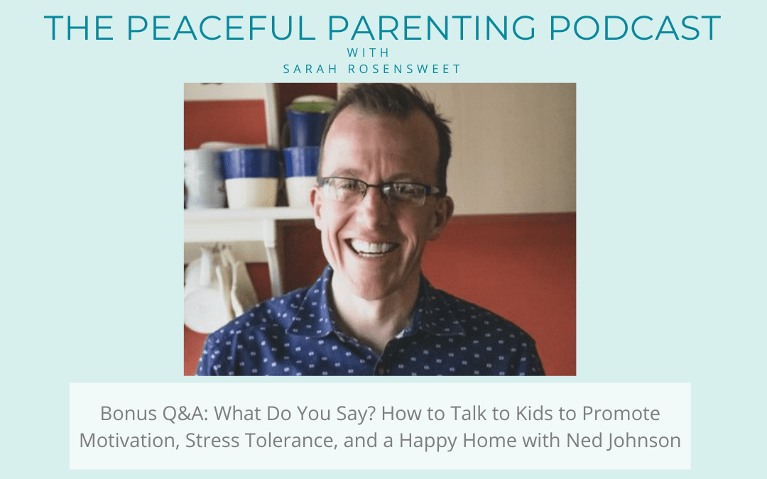 Podcast Bonus Q&A: What Do You Say? How to Talk to Kids to Promote Motivation, Stress Tolerance, and a Happy Home with Ned Johnson