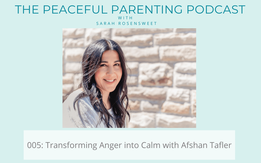 Podcast Episode #5: Transforming Anger into Calm with Afshan Tafler