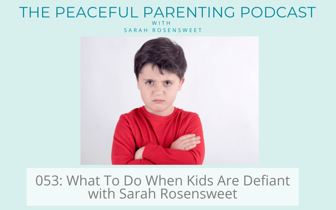 Podcast Episode 53: ‘What To Do When Kids Are Defiant’ with Sarah Rosensweet