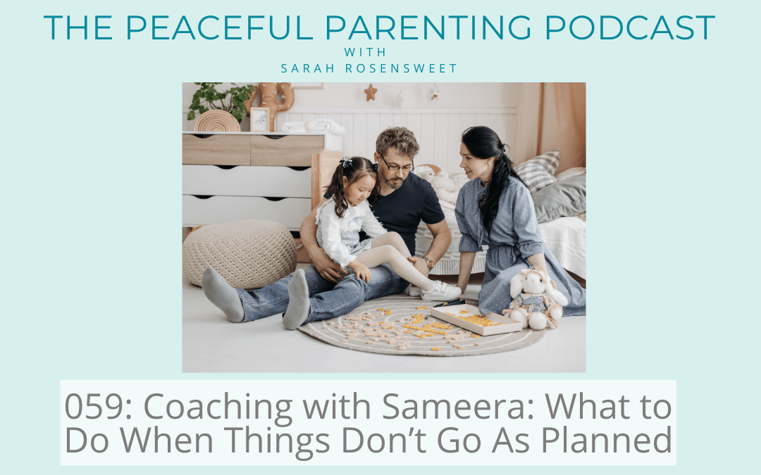 Episode 59: Coaching with Sameera: What to Do When Things Don’t Go As Planned