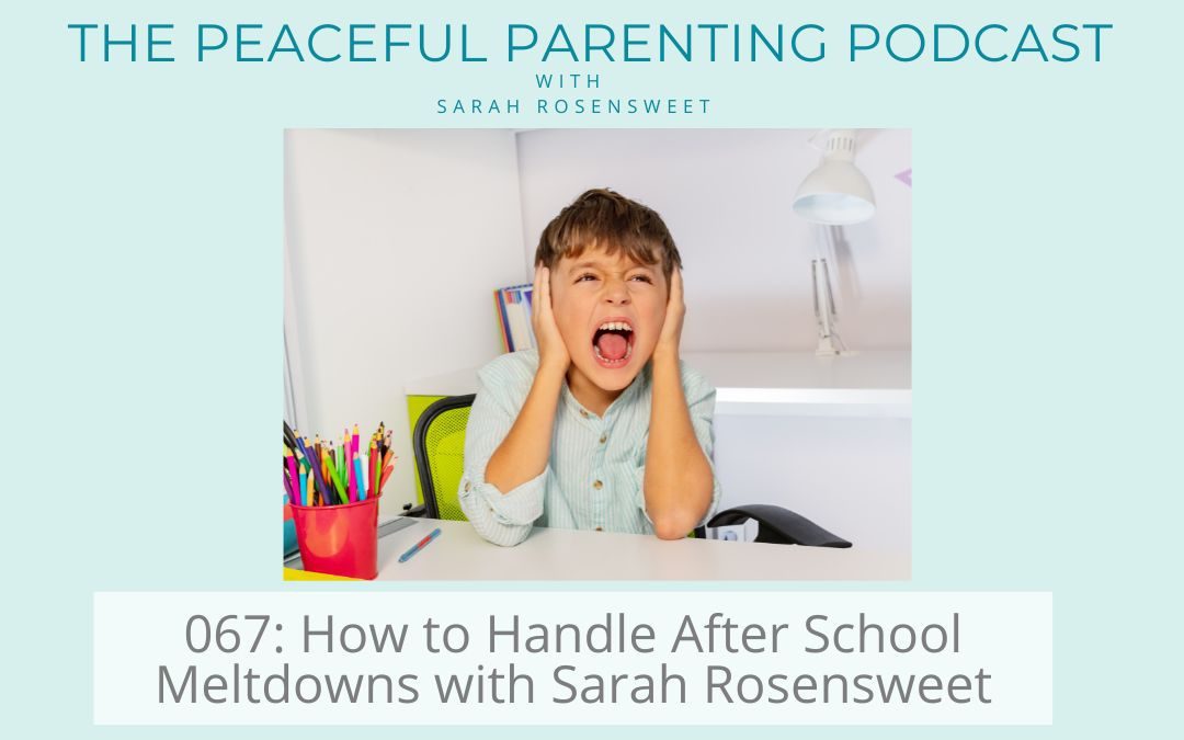 Podcast Episode 65: Coaching with Liz: When Kids Have Trouble Falling and Staying Asleep
