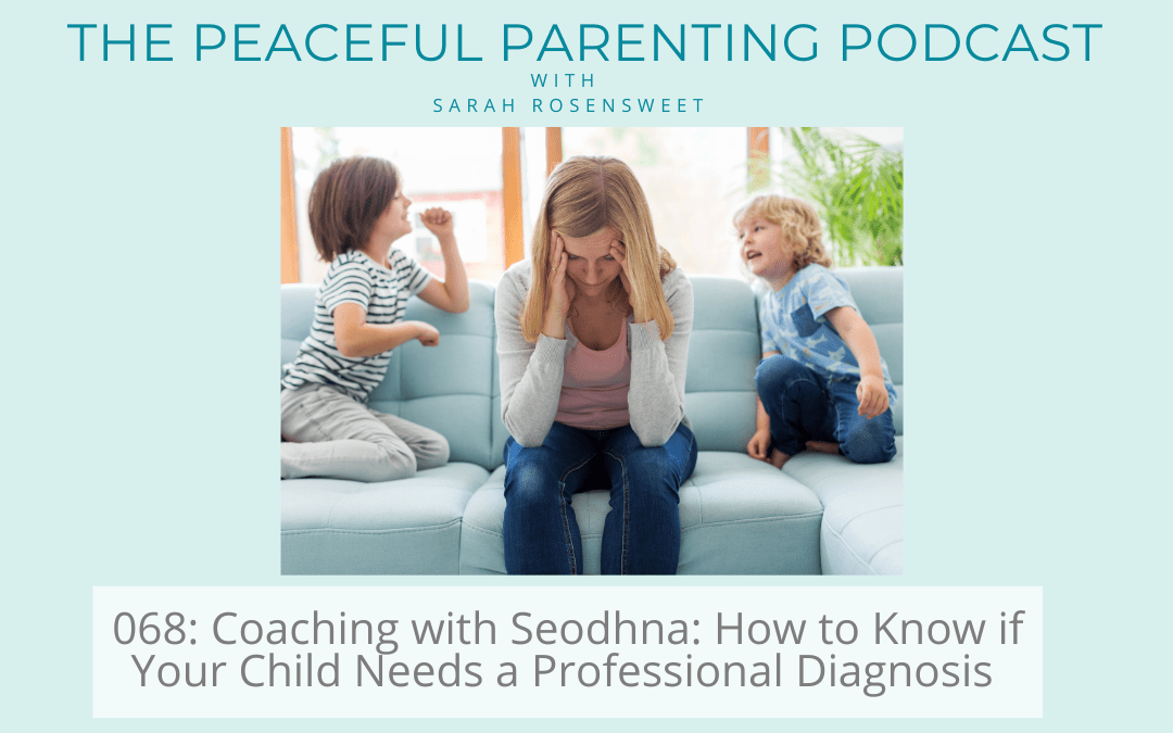 Podcast Episode 68: Coaching with Seodhna: How to Know if Your Child Needs a Professional Diagnosis
