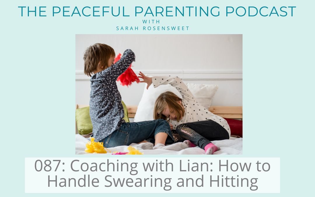 Episode 87: Coaching with Lian: How to Handle Swearing and Hitting