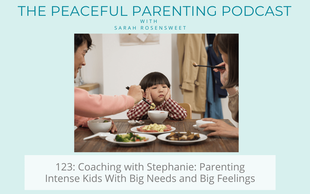 Episode 123: Coaching with Stephanie: Parenting Intense Kids With Big Needs and Big Feelings